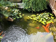 -凤凰山斑鱼馆(恭城店)