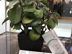 -万达影城(碧湖万达广场激光IMAX店)