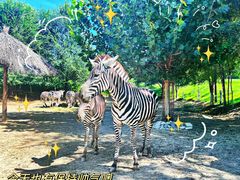 -北京野生动物园