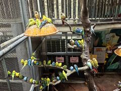 -正佳雨林生态植物园
