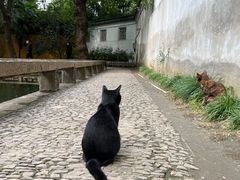 -西园戒幢律寺