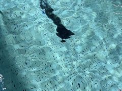 -包玉刚游泳场(黄龙恒励大厦店)