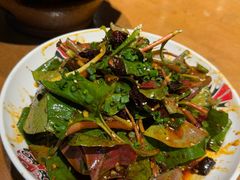 -杨记隆府(重庆总店)