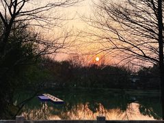 -西溪国家湿地公园