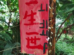 -呀路古热带植物园