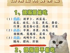 -lincat·猫舍(广州店)