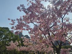 -新江湾城公园