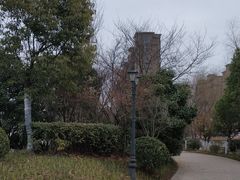 -五里湖湿地公园