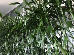 -奔驰北京鹏龙星徽(西大望路店)