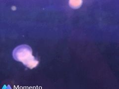 -深圳龙华星河COCO City(民治店)