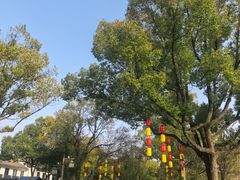 -鲁镇