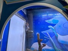 -海合安青岛极地海洋公园