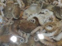 -鑫福隆生鲜超市(沈营大街店)