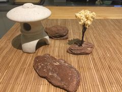 -柴务处·柴犬主题狗咖