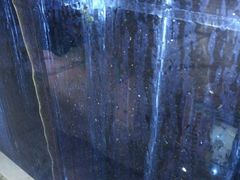 -鹏展商务宾馆(深圳坂田五和店)