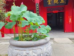 -南岳明心寺