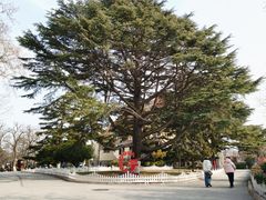 -青岛德国总督楼旧址博物馆