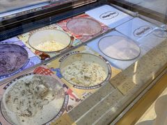 -哈根达斯(深圳海岸城店)