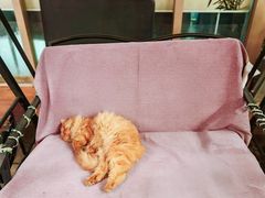 -后海16号·北京私房菜