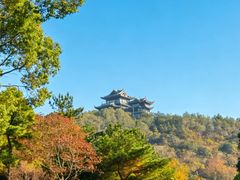 -呼吸森林·生态农庄农家乐私房菜