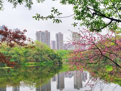 -重庆彩云湖湿地公园