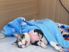 -达爱动物医院·犬猫分区·CT·复杂眼科(远洋山水分院)