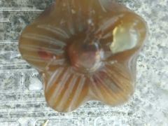 -有口福第一马蹄粉(泮塘总店)