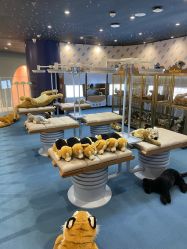 -奈尔宝·儿童乐园·亲子餐厅(鄞州万达店)