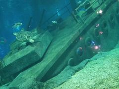 -福州罗源湾海洋世界旅游区