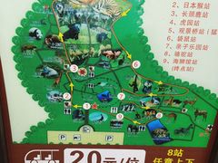 -合肥野生动物园