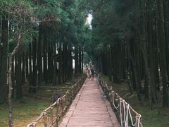 -玉苍山国家森林公园