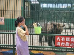 -横道河子东北虎林园