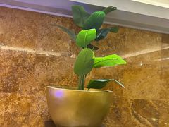 -怡咖啡·自助餐·西安香格里拉