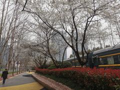 -砂之船奥莱(南京江宁店)