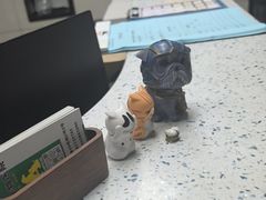 -半岛宠物医院24小时(白果林店)