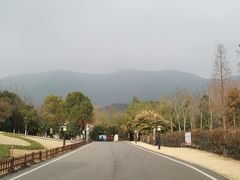 -习家池