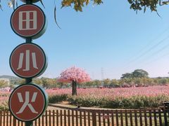 -盈香心动乐园
