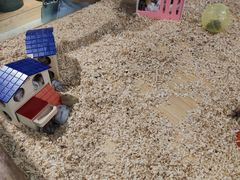 -龟与熊猫宠物公园(南坪店)