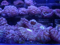-趣陶陶艺手工坊(新世界百货重庆店)