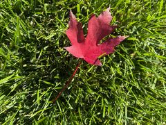 -北京雁栖湖国际会展中心