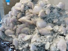 -湖南省地质博物馆