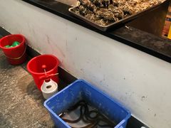 -兰边碗(鼓楼店)