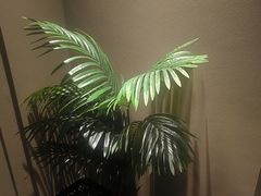 -若水云栖·足疗·按摩·SPA(城阳万达广场店)