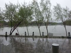 包房-卫鼎轩·家宴(水上公园店)