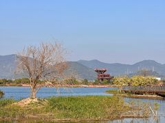 -芒洲湿地公园