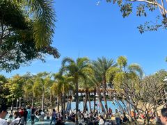 -宝安西湾红树林湿地公园