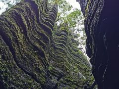 -梭布垭石林景区