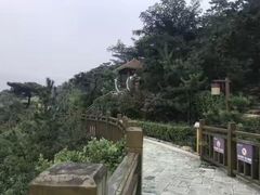-徂徕山森林康养度假谷温泉