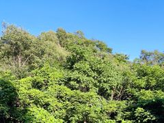 -天津盘山风景名胜区