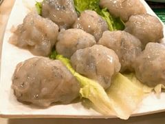 -朱氏胖子烂火锅(洪崖洞店)
